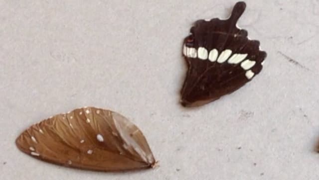 Showreel - all music by germanager