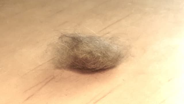 can it be - music and film by germanager